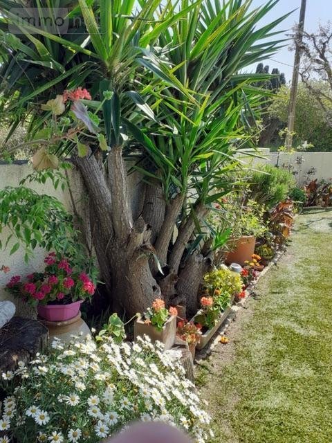 Maison a vendre Sainte Marie la Mer 66470 Pyrénées-Orientales 91 m2 4 pièces 166500 euros