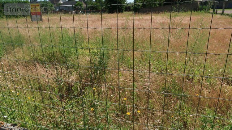 Terrain a batir a vendre Pleumartin 86450 Vienne 634 m2  19000 euros