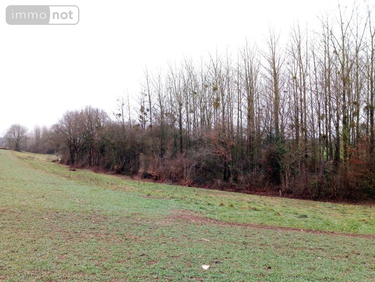 Divers a vendre Vimartin sur Orthe 53160 Mayenne  3600 euros