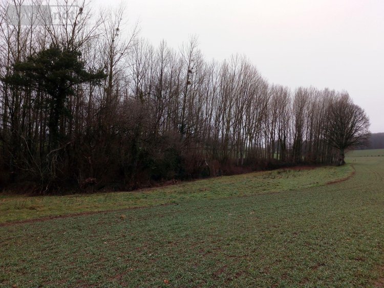 Divers a vendre Vimartin sur Orthe 53160 Mayenne  3600 euros