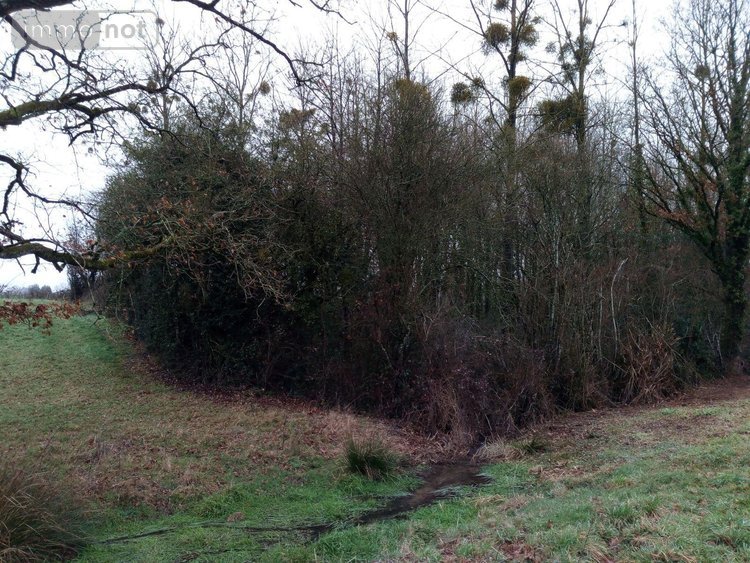 Divers a vendre Vimartin sur Orthe 53160 Mayenne  3600 euros