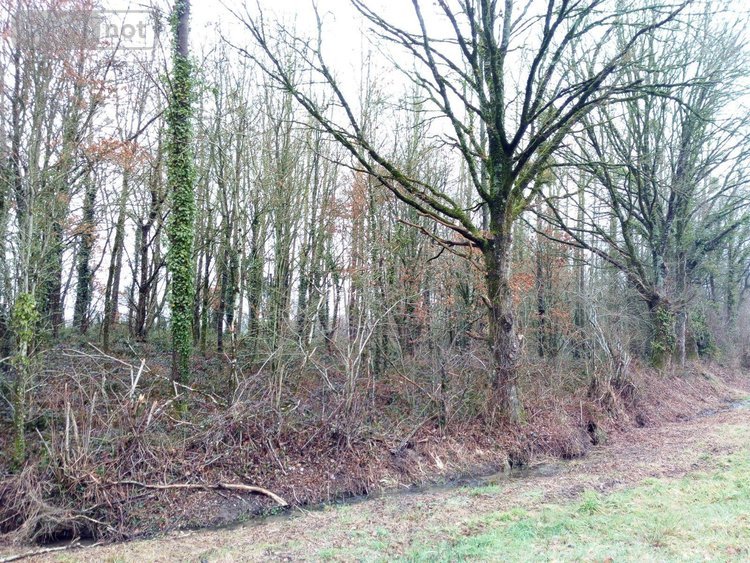 Divers a vendre Vimartin sur Orthe 53160 Mayenne  3600 euros