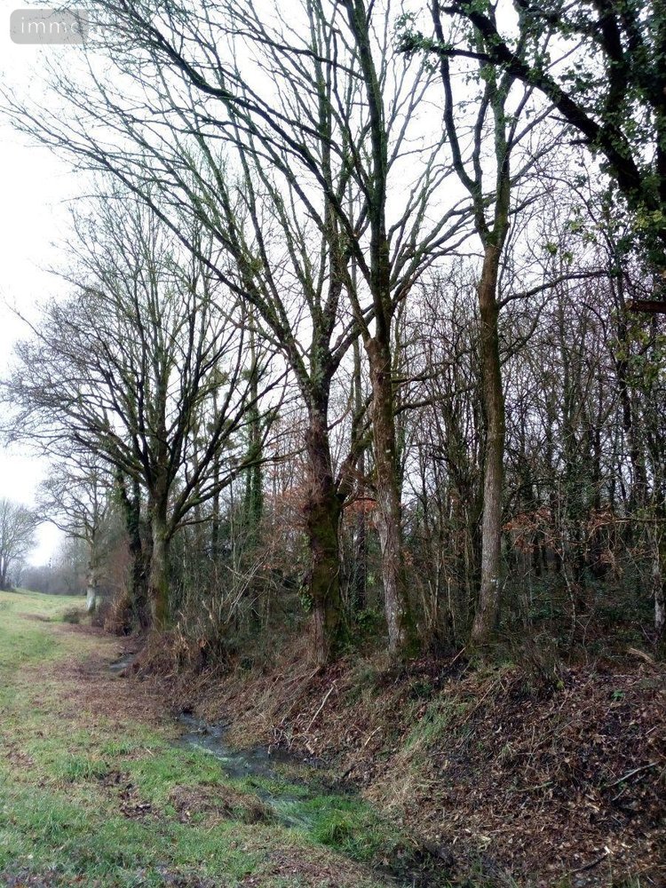 Divers a vendre Vimartin sur Orthe 53160 Mayenne  3600 euros