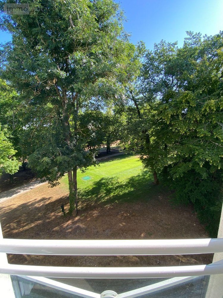 Location appartement Villedieu-sur-Indre 36320 Indre 35 m2 1 pièce 385 euros