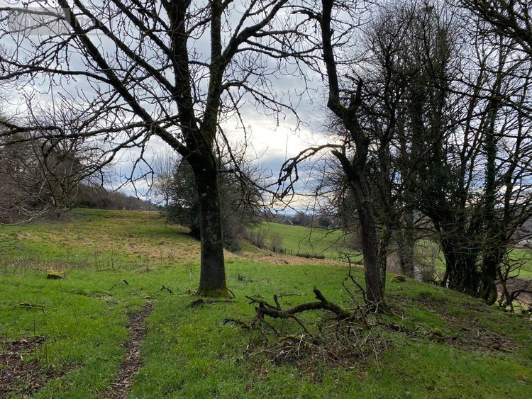 Bien agricole a vendre Drugeac 15140 Cantal  42400 euros