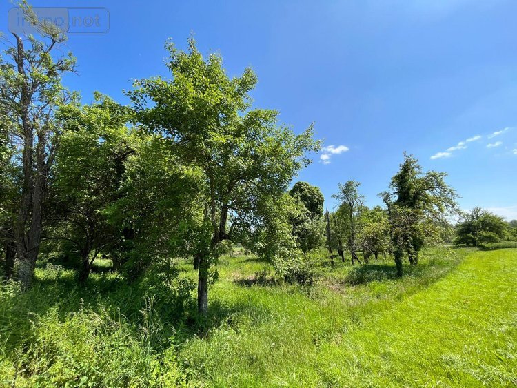 Terrain a batir a vendre Bourguignons 10110 Aube 2205 m2  48150 euros
