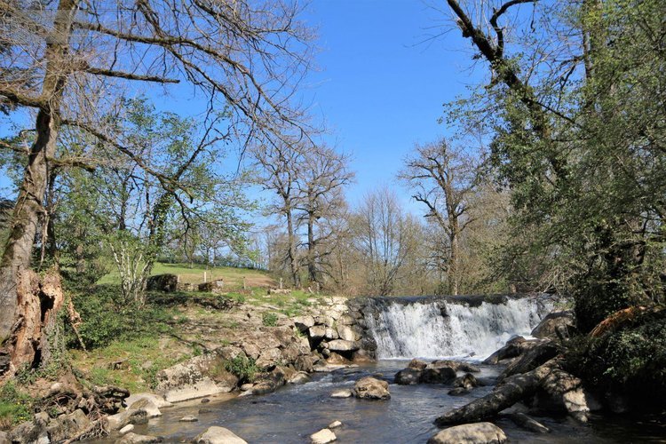 propriete a vendre Villefranche-de-Rouergue 12200 Aveyron 383 m2 7 pièces 375300 euros