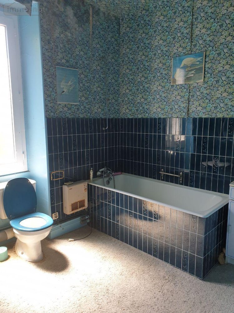 Maison a vendre Neuvy-Saint-Sépulchre 36230 Indre 200 m2 8 pièces 32000 euros