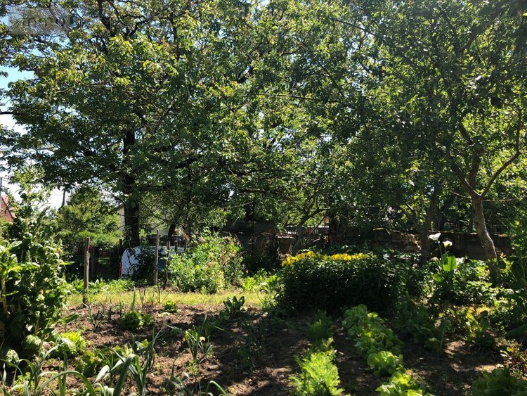 Maison a vendre Molières 46120 Lot 106 m2 5 pièces 103880 euros
