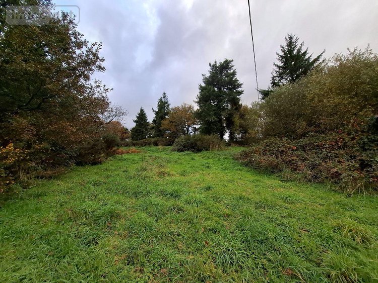 Maison a vendre Tréogan 22340 Côtes-d'Armor 87 m2 3 pièces 53000 euros