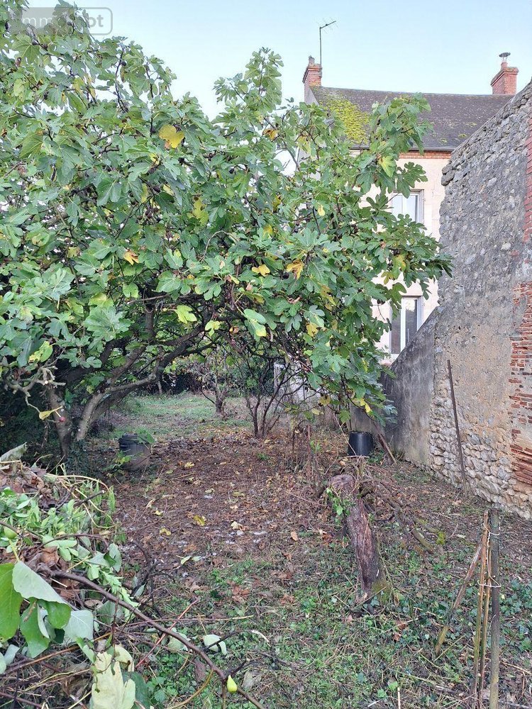 Maison a vendre Saint-Martin-d'Auxigny 18110 Cher 96 m2 4 pièces 120750 euros