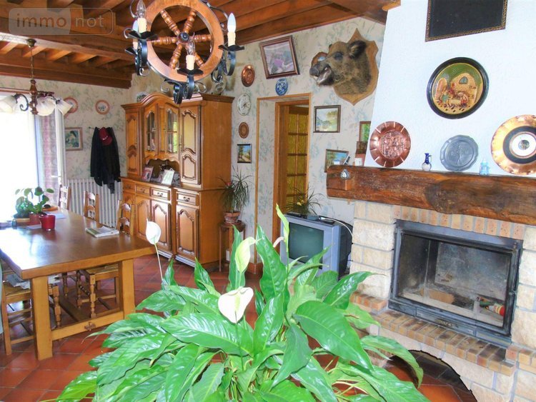 Viager maison Montillot 89660 Yonne 129 m2 4 pièces 40200 euros