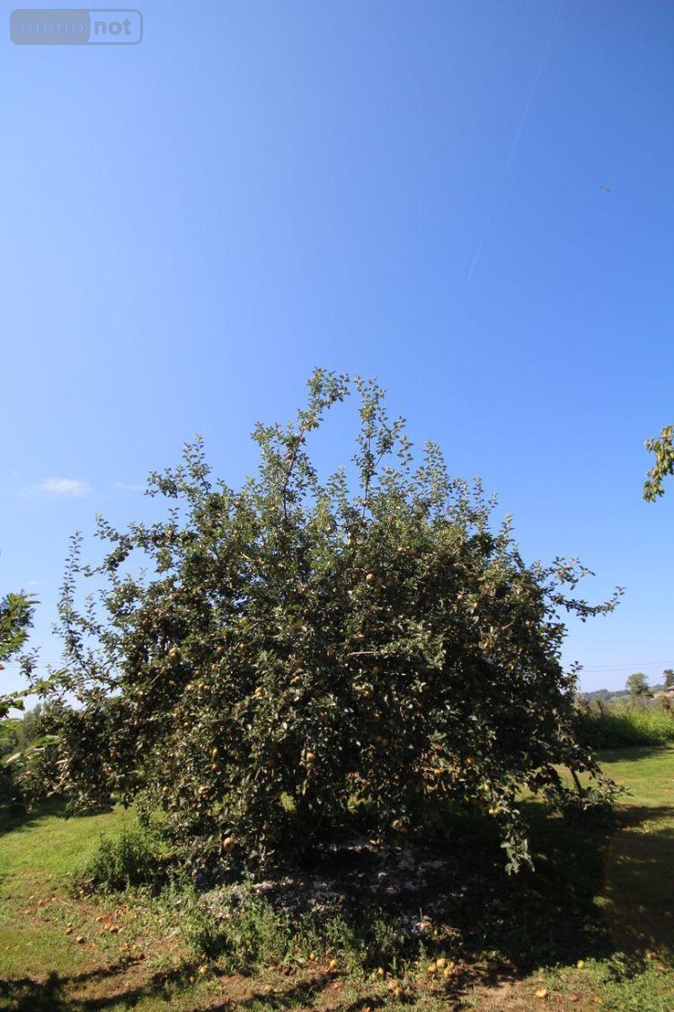 Maison a vendre Najac 12270 Aveyron 154 m2 7 pièces 354600 euros