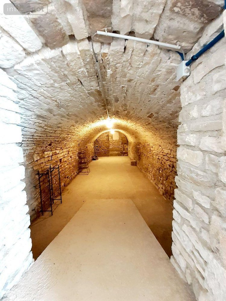 Maison a vendre Gyé-sur-Seine 10250 Aube 187 m2 6 pièces 219450 euros