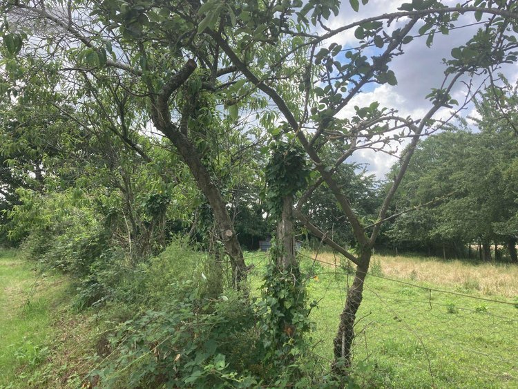 Maison a vendre Thuboeuf 53110 Mayenne 53 m2 3 pièces 26500 euros