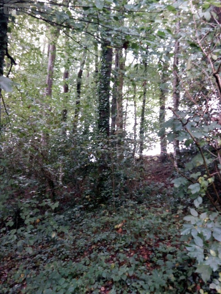 Terrains de loisirs bois etangs a vendre Saint-Thomas-de-Courceriers 53160 Mayenne 2193 m2  2700 euros