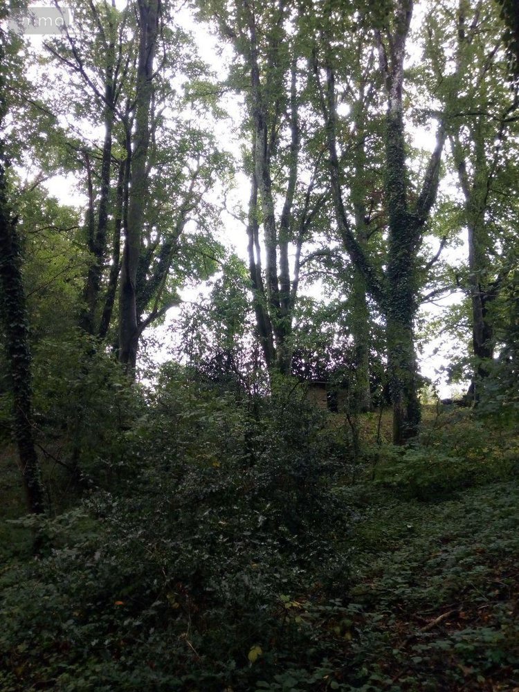 Terrains de loisirs bois etangs a vendre Saint-Thomas-de-Courceriers 53160 Mayenne 2193 m2  2700 euros