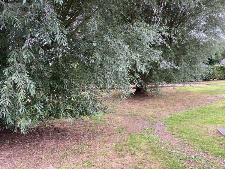 Viager terrains de loisirs bois etangs Coudray-Rabut 14130 Calvados 380 m2  15000 euros