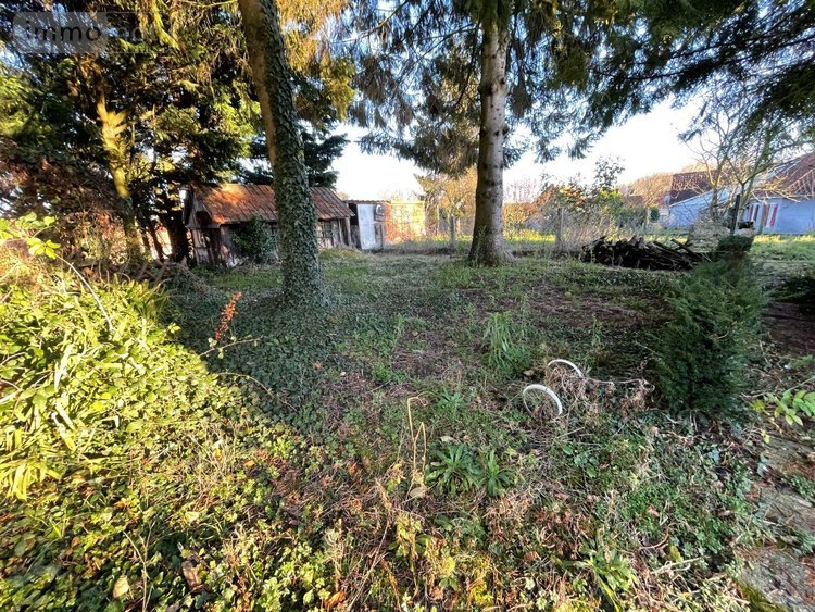 Maison a vendre Fillièvres 62770 Pas-de-Calais 122 m2 5 pièces 89860 euros