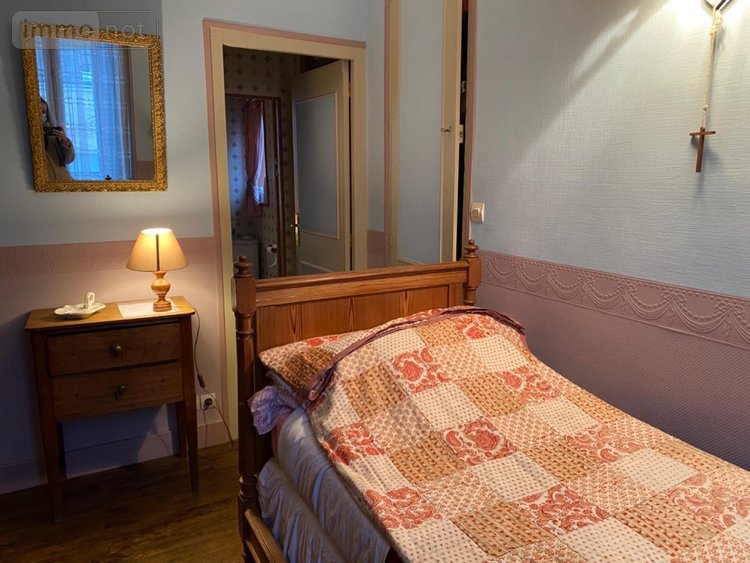 Maison a vendre Châtillon-sur-Indre 36700 Indre 224 m2 12 pièces 263440 euros