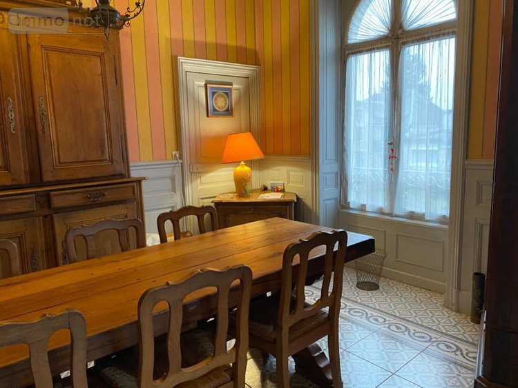 Maison a vendre Châtillon-sur-Indre 36700 Indre 224 m2 12 pièces 263440 euros
