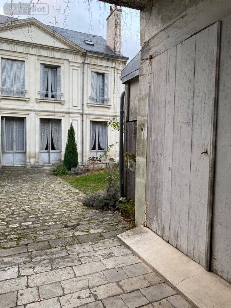 Maison a vendre Châtillon-sur-Indre 36700 Indre 224 m2 12 pièces 263440 euros