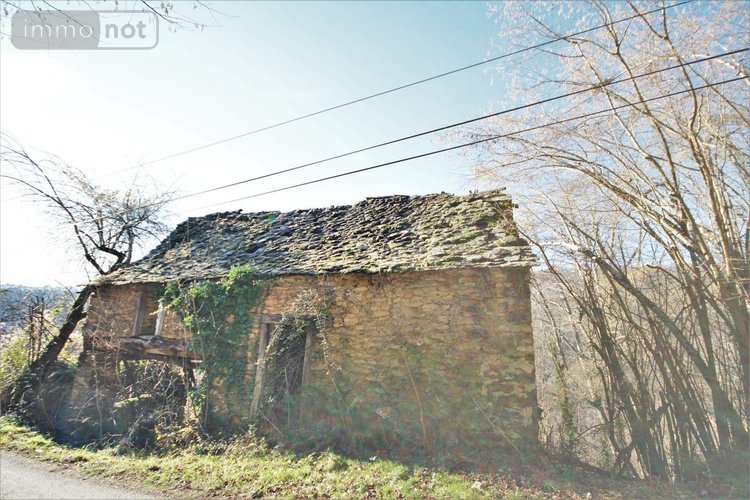Divers a vendre Rieupeyroux 12240 Aveyron 80 m2  36000 euros