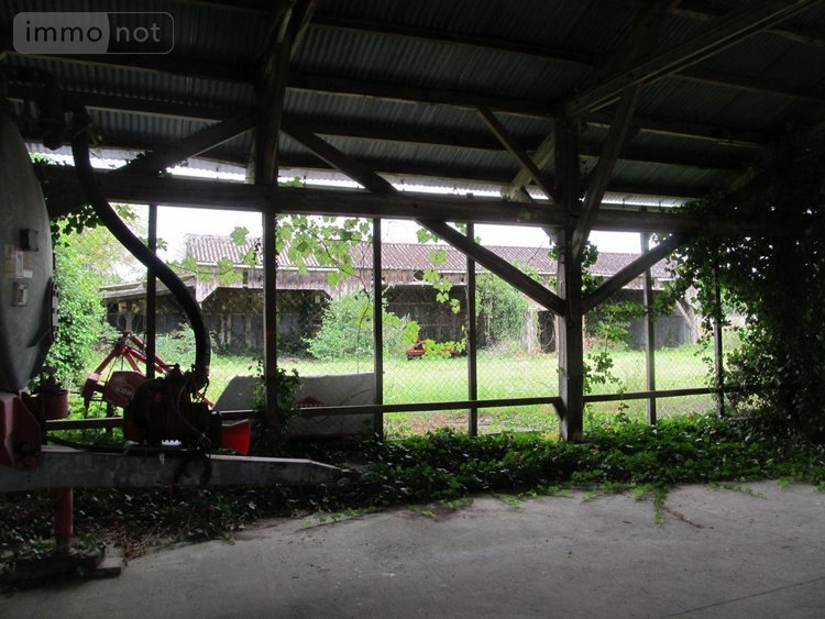 Terrain a batir a vendre Clion 36700 Indre 3500 m2  43360 euros