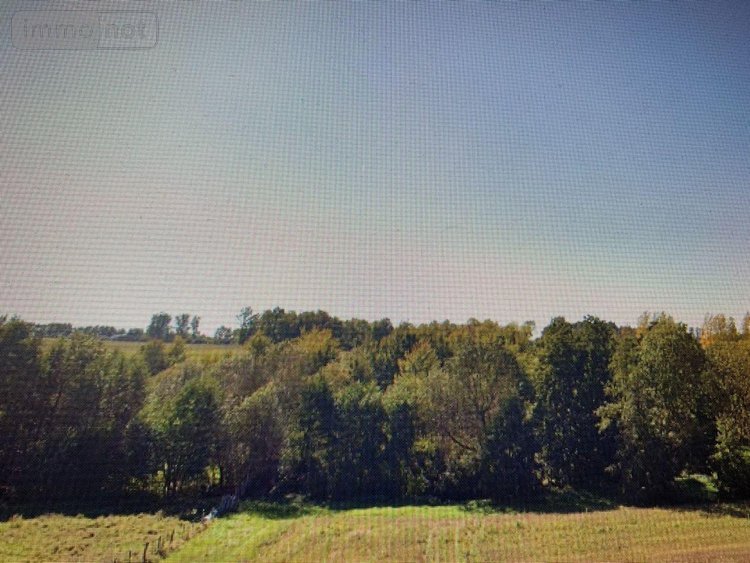 Terrains de loisirs bois etangs a vendre Villeloin-Coulangé 37460 Indre-et-Loire 18480 m2  11200 euros