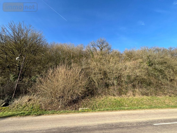 Terrain a batir a vendre Villemorien 10110 Aube 3107 m2  15500 euros