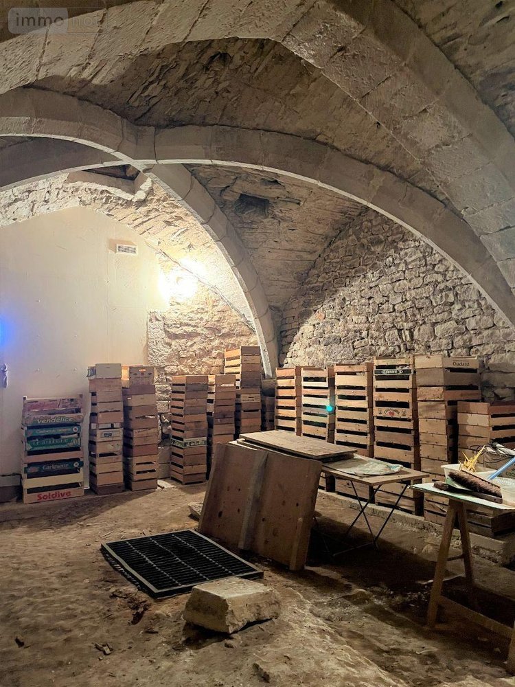 Viager propriete Vézelay 89450 Yonne 292 m2  123400 euros