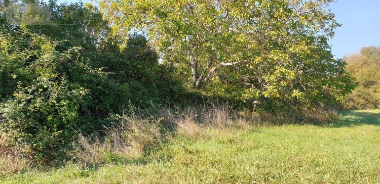 Terrain a batir a vendre Noyen-sur-Sarthe 72430 Sarthe 4285 m2  43000 euros