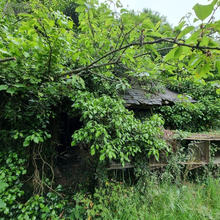 Maison a vendre Saint-Loup-du-Gast 53300 Mayenne 105 m2 7 pièces 124800 euros