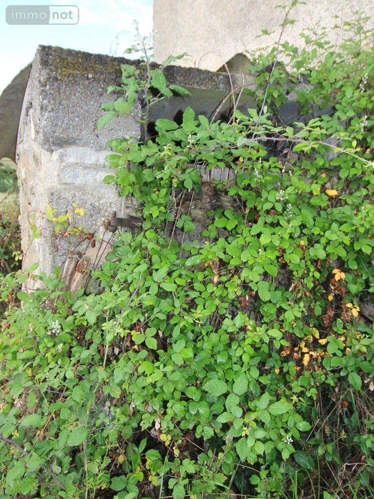 Maison a vendre Villefranche-de-Rouergue 12200 Aveyron 200 m2 6 pièces 106000 euros