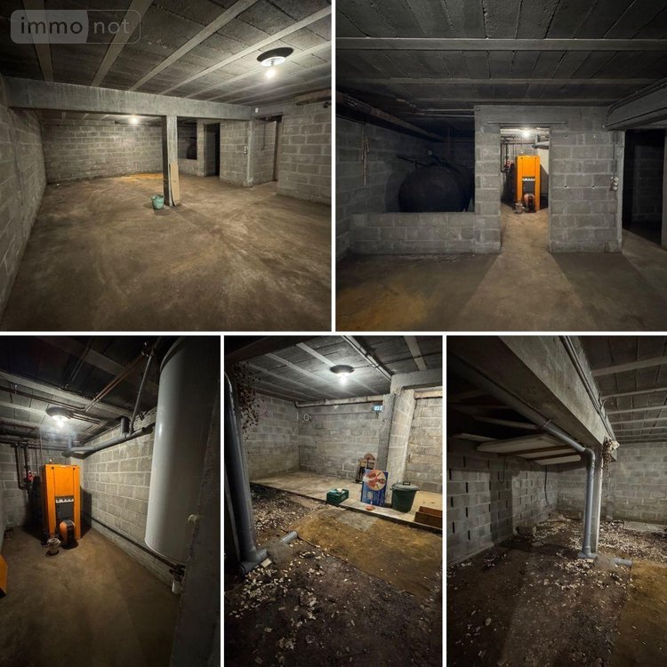 Maison a vendre Neuvy-Saint-Sépulchre 36230 Indre 250 m2 10 pièces 198000 euros