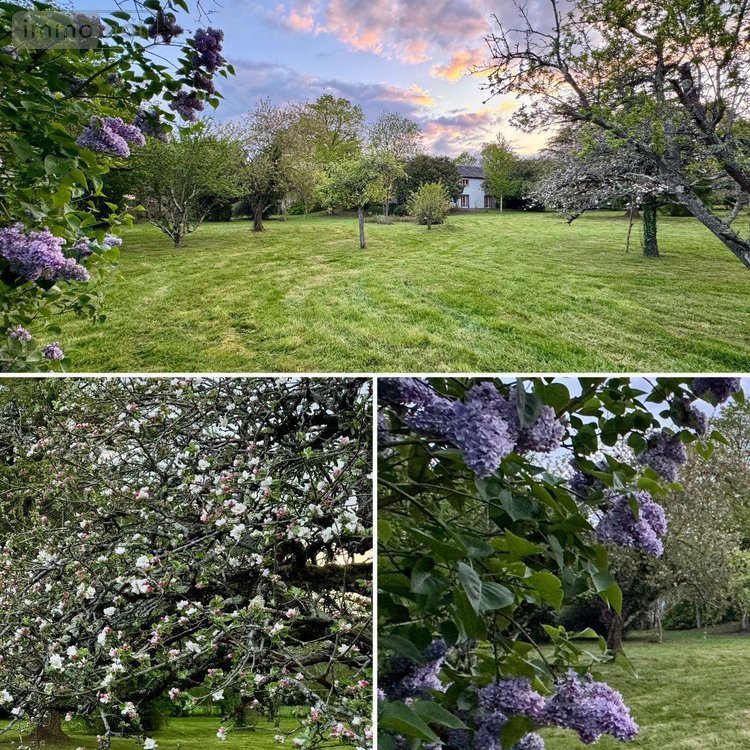 Maison a vendre Neuvy-Saint-Sépulchre 36230 Indre 250 m2 10 pièces 198000 euros