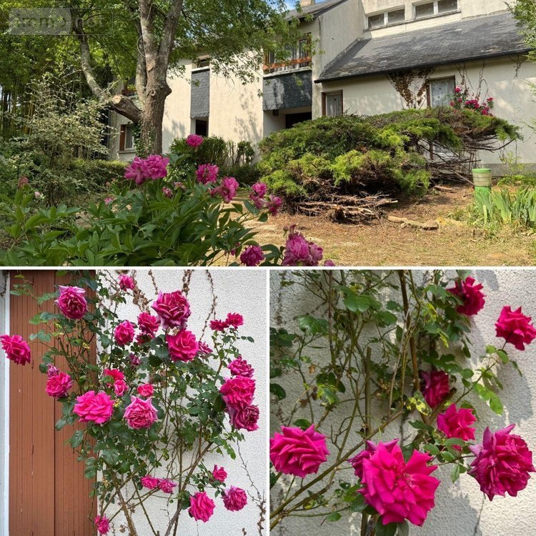 Maison a vendre Neuvy-Saint-Sépulchre 36230 Indre 250 m2 10 pièces 198000 euros