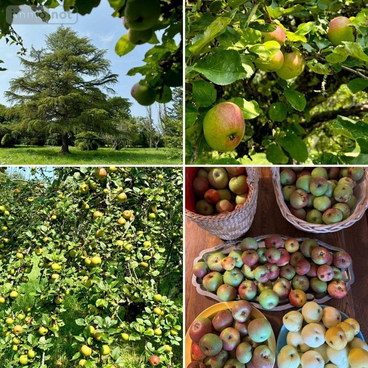 Maison a vendre Neuvy-Saint-Sépulchre 36230 Indre 250 m2 10 pièces 198000 euros