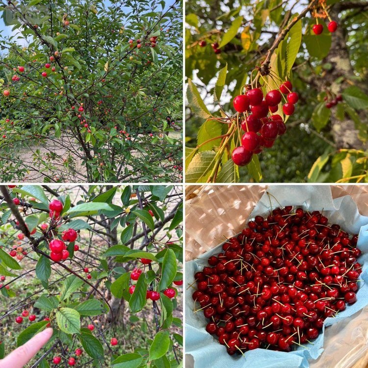 Maison a vendre Neuvy-Saint-Sépulchre 36230 Indre 250 m2 10 pièces 198000 euros