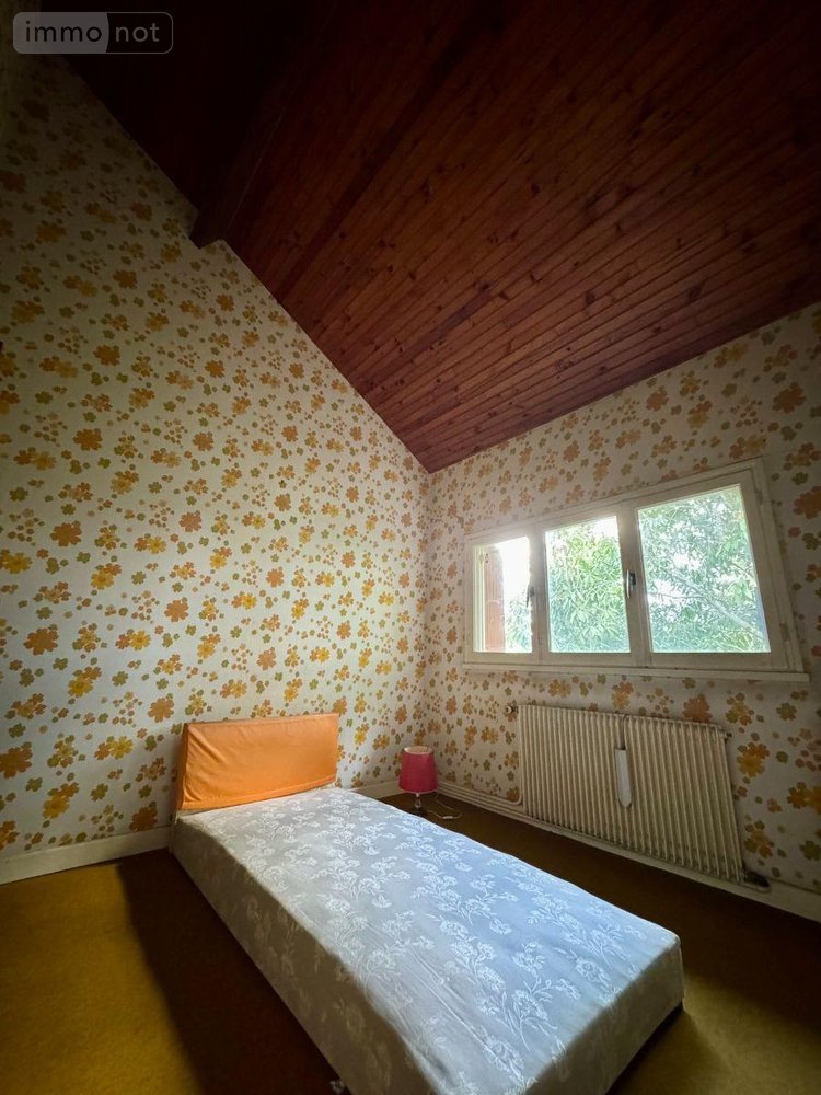 Maison a vendre Neuvy-Saint-Sépulchre 36230 Indre 250 m2 10 pièces 198000 euros