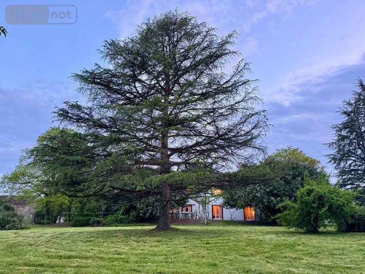 Maison a vendre Neuvy-Saint-Sépulchre 36230 Indre 250 m2 10 pièces 198000 euros