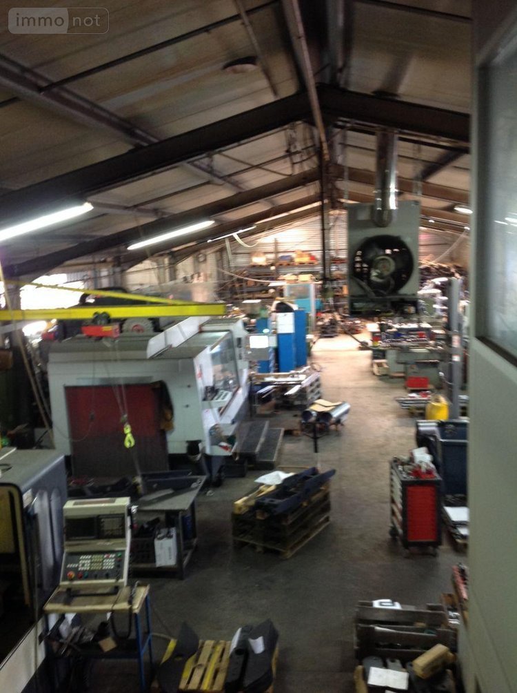 Fonds et murs commerciaux a vendre Argenton-sur-Creuse 36200 Indre  318000 euros