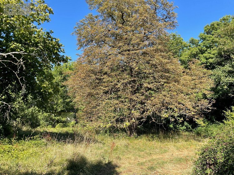 Maison a vendre Pellevoisin 36180 Indre 140 m2 10 pièces 102125 euros