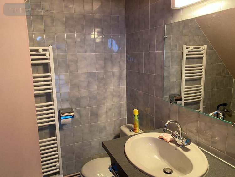 Appartement a vendre Le Falgoux 15380 Cantal 25 m2 2 pièces 34900 euros