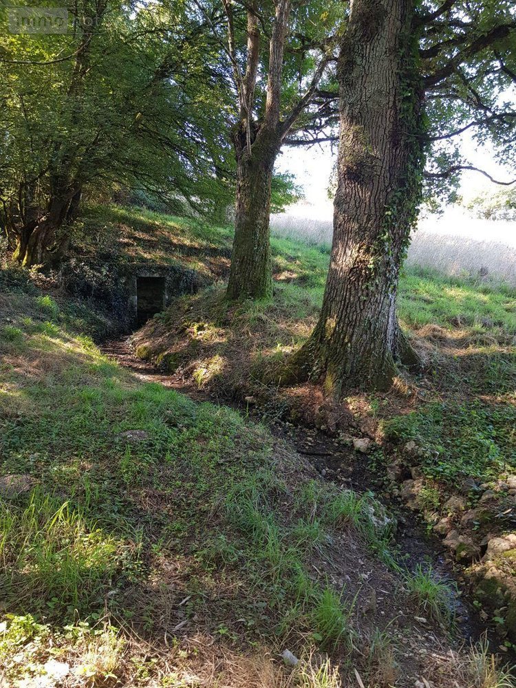 propriete a vendre Maray 41320 Loir-et-Cher 140 m2 6 pièces 168640 euros