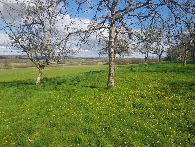 propriete a vendre Maray 41320 Loir-et-Cher 140 m2 6 pièces 168640 euros