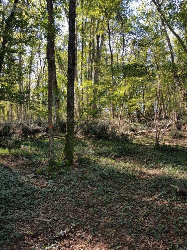 propriete a vendre Maray 41320 Loir-et-Cher 140 m2 6 pièces 168640 euros