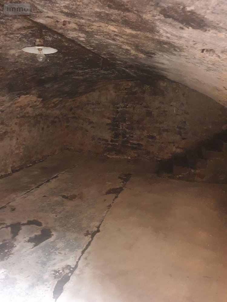 Maison a vendre Chassignolles 36400 Indre 265 m2 9 pièces 64000 euros