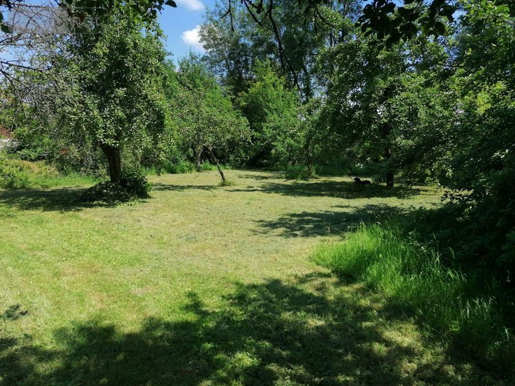 Maison a vendre Montier-en-l'Isle 10200 Aube 200 m2 6 pièces 61000 euros