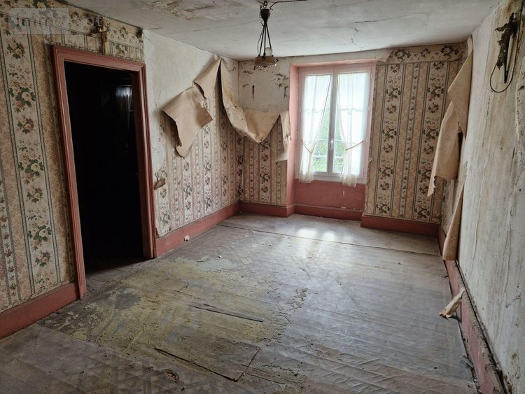 Maison a vendre Montier-en-l'Isle 10200 Aube 200 m2 6 pièces 61000 euros